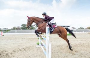 Freddie Vasquez Equestrian Reviews the Latest in the Elite Showjumping World Freddie Vasquez Equestrian Reviews