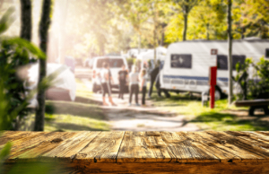 Declan Birmingham on Wildlife Skills Campers Should Know Declan Birmingham