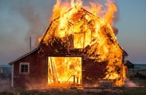 Devin Doyle of Newport Beach on Businesses Making Informed Decisions About Sprinkler Systems Devin Doyle newport beach