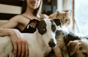 Penny Gonzalez Explains the Human-Animal Bond and How Pets Enrich Our Lives penny gonzalez santa paula