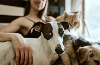 Penny Gonzalez Explains the Human-Animal Bond and How Pets Enrich Our Lives penny gonzalez santa paula