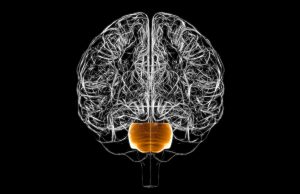 John Kim of UCLA Discusses Neuromodulation and Brain-Computer Interfaces John Kim UCLA