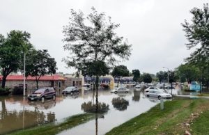 David DeQuattro on the Impact of Climate Change: Architecture and Engineering David DeQuattro