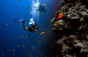 David Mulhauser Discusses Dive Travel: Planning the Ultimate Scuba Adventure DAVID MULHAUSER