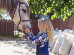 Freddie Vasquez Jr: Horse Riding for Children – How to Introduce Your Kids to Equestrian Activities Safely Freddie Vasquez Jr Horse Riding for Children