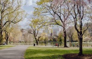 The Heart of University City for Students and Professionals