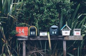 The Power of the Mailbox: How Physical Touchpoints Boost Brand Recall