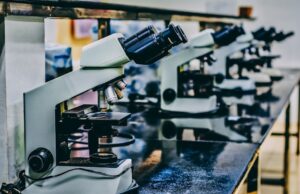 Using Polyclonal Antibodies and Peptides Together for Advanced Protein Detection